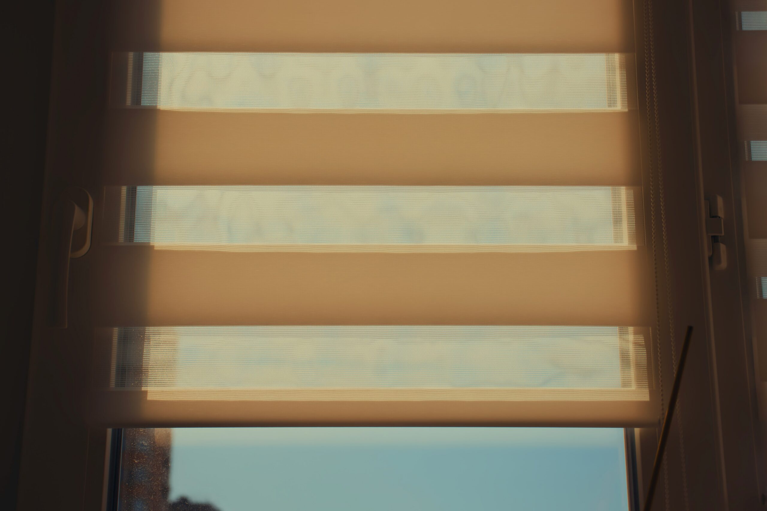 Photo by Mikhail Seleznev on Unsplash